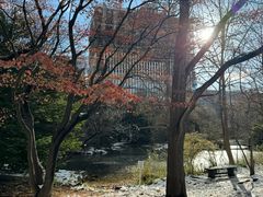 -北海道厅旧本厅舍(旧本庁舎)