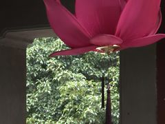 -钱王祠