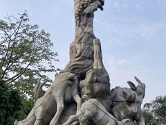 -火炉山森林公园
