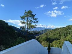 -龙岩森林水乡景区