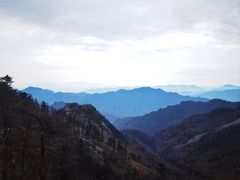 -朱雀国家森林公园