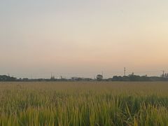 -嘉北郊野公园