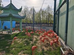 -秦皇岛野生动物园