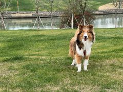 -九里河湿地公园