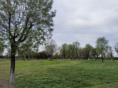 -汉长安城未央宫国家考古遗址公园