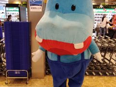 -盒马鲜生(宝地店)