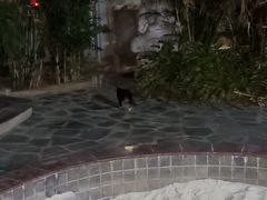 -龙达温泉生态城