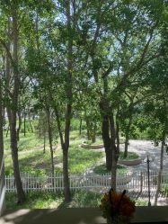 -皇家月府月子中心(沈阳店)