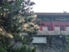 -云岗森林公园