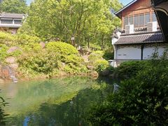 -莲峰云海景区
