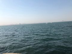 -林之六八·6886大连老菜馆