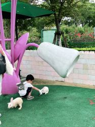 点击看大图 -季高兔窝窝亲子园(上海薰衣草公园店)