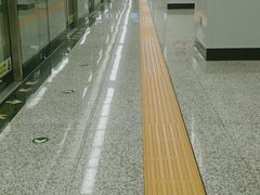 -奥体中心(地铁站)