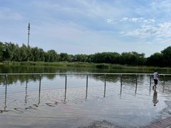 -永定河休闲森林公园