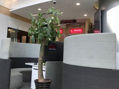 -招商银行(上海南西支行)