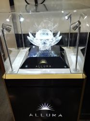 -上海玫瑰医疗美容医院