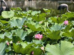 -苏州河梦清园环保主题公园