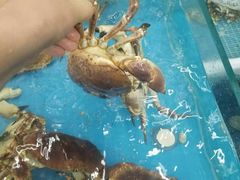 -日照大牌檔•小船海鲜(万平口店)