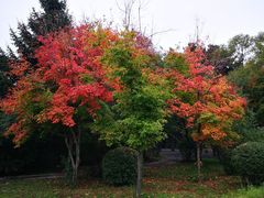 -长春市南湖公园