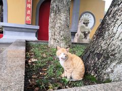 -宝岩生态观光园