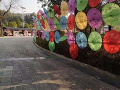 -九龙江国家森林公园