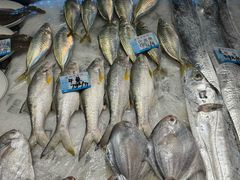 -渔傅·霞浦滩涂海鲜(建平店)