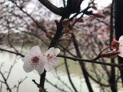 -广富林郊野公园