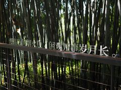 -云溪植物园