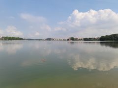 -仙湖旅游度假区