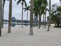 -南宁花花大世界景区