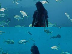 -瑞德姆美人鱼海底演艺主题餐厅(亚龙湾店)