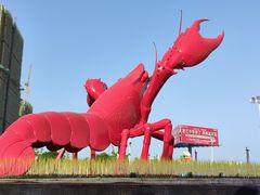 -虾皇(龙虾城旗舰店)