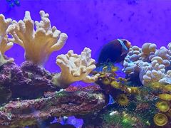 -杭州海底世界
