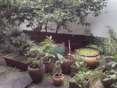 -院子餐厅·大锅菜·老杭帮(桥西直街店)