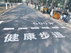 -东郊湿地公园