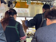 -正宗忘不了老鹅(梅岭店)