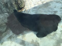 -广东茂名森林公园