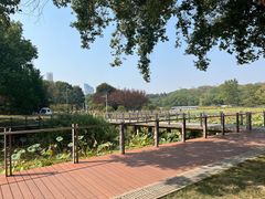 -月湖风景区