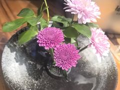 -恬阿姨庭院餐厅·生日宴