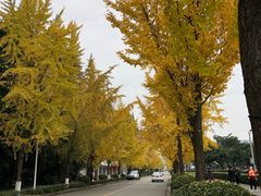 -四川大学(望江校区)