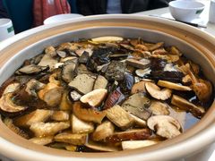 -爱膳菌锅锅(阳南店)