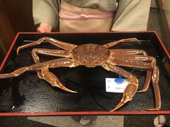 -蟹道乐(道顿堀本店)