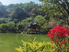 -云溪植物园