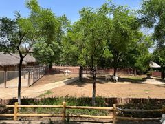 -石家庄市动物园