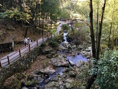 -藏龙百瀑风景区