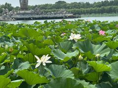 -南戴河国际娱乐中心