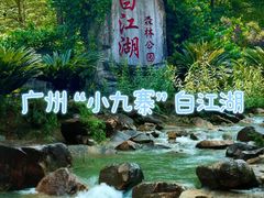 -广州白江湖森林公园