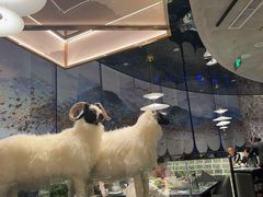 -百草滩羊清水涮羊肉·清真·宁夏盐池滩羊(莲花桥店)