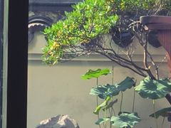 -道南書院·私房菜·早午茶·茶馆