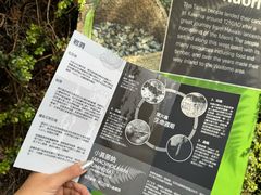 -怀托摩萤火虫洞